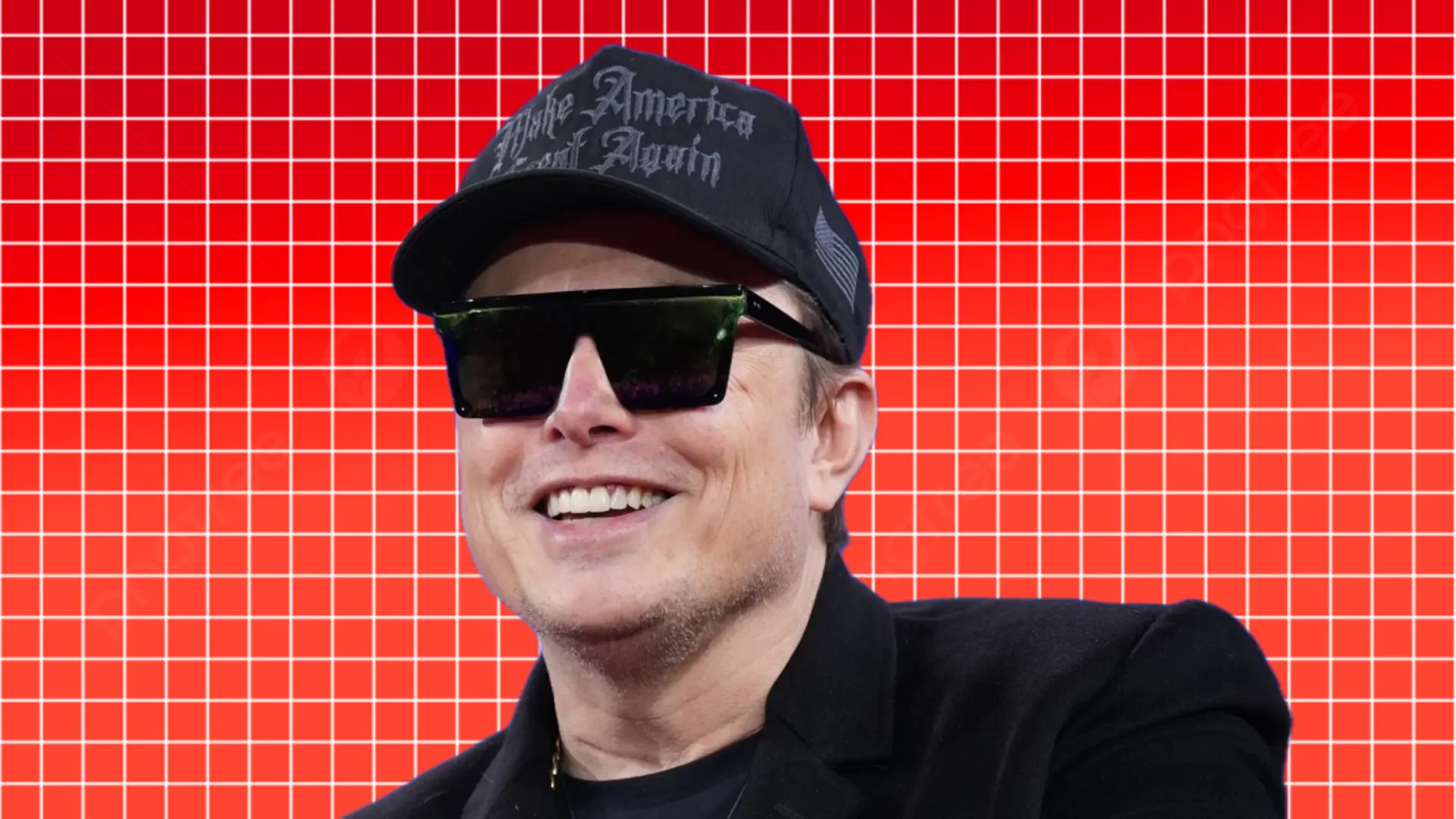 Elon Musk’s Federal Fiasco: When DOGE Bites Back and the White House Barks Up the Wrong Tree
