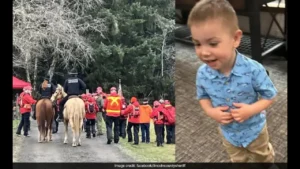A Frantic Search for a Missing Toddler