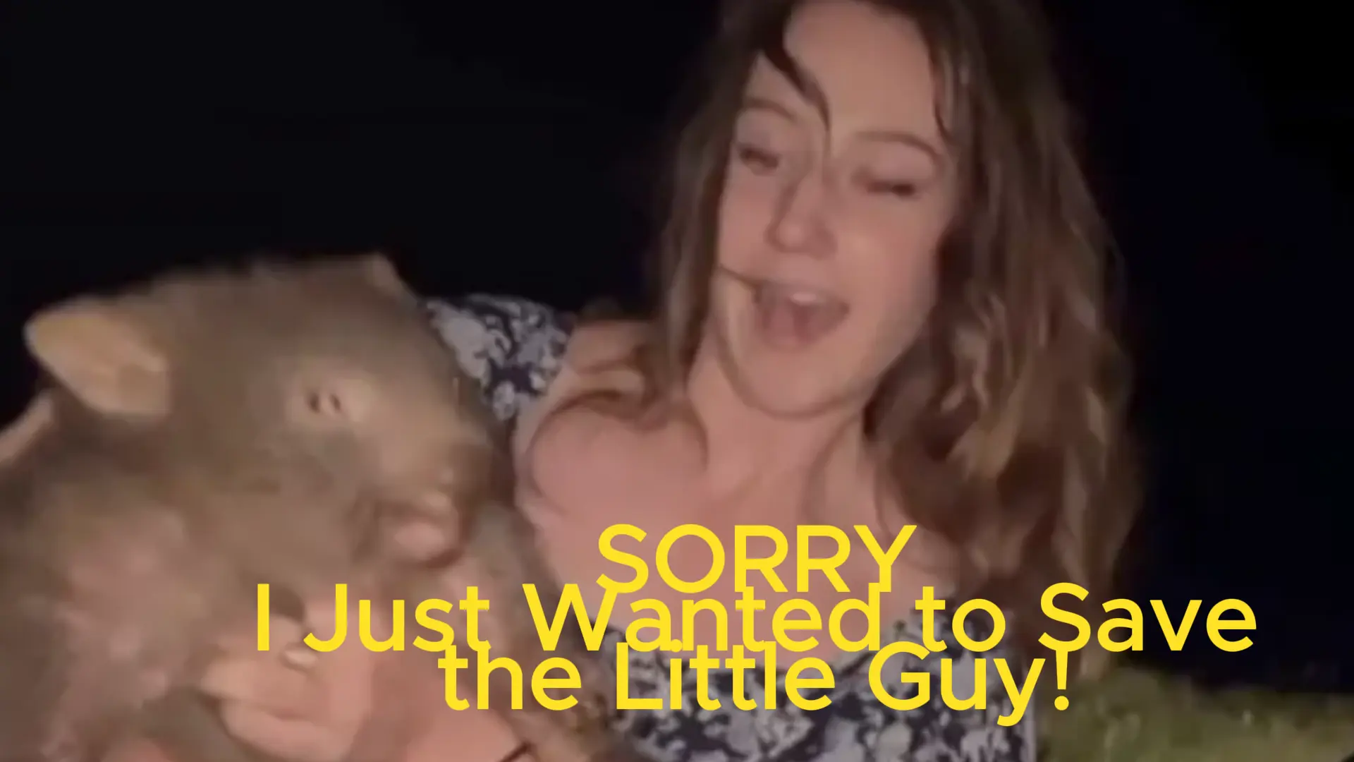 Wombat-napper Sam Jones Bolts from Oz: ‘Sorry, I Just Wanted to Save the Little Guy!’