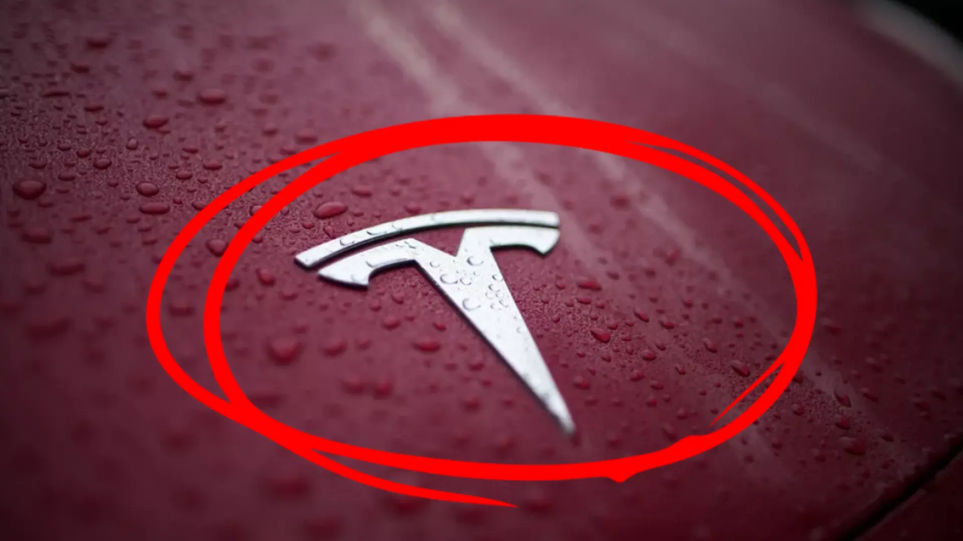 Elon Musk’s Brand Tornado: Tesla Sales Take a Hilarious Detour
